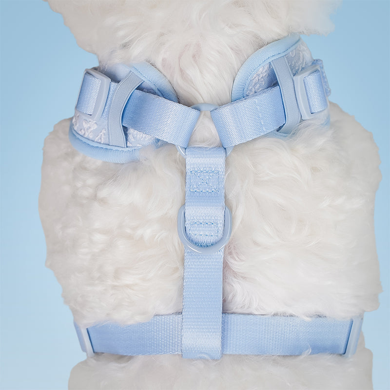 Morning Glory Dog Harness