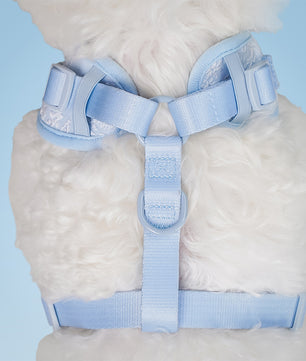 Morning Glory Dog Harness