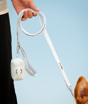 Morning Glory Blue 4-Piece Set – Floral Harness, Leash, Collar & Poop Bag Holder