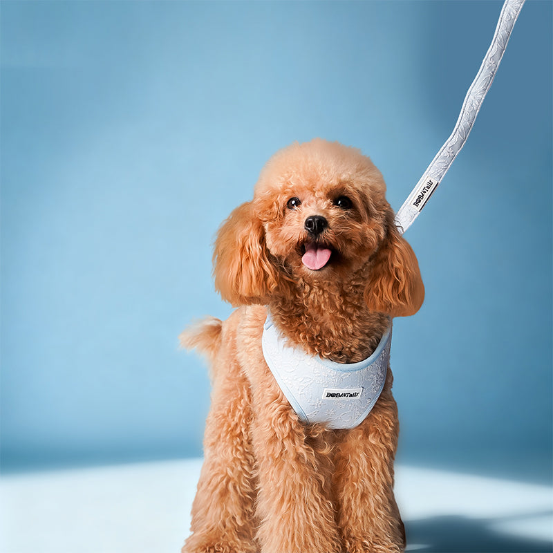 Morning Glory Adjustable Dog Leash