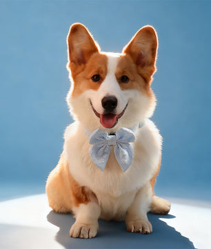 Morning Glory blue bow tie dog designed to complement the harness and accessories within the set