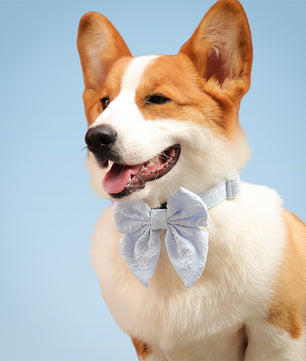 Morning Glory blue dog bow tie collars designed to complement the harness and accessories within the set 