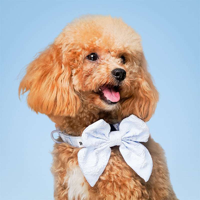 Morning Glory blue dog bow tie for wedding designed to complement the harness and accessories within the set