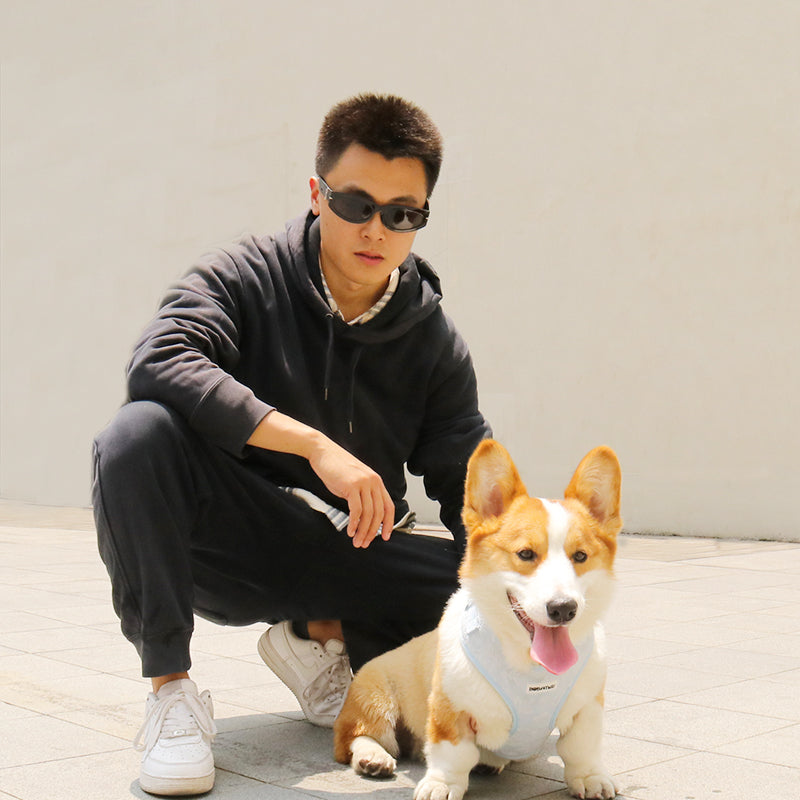 Morning Glory blue gentle dog harness designed to complement the harness and accessories within the set