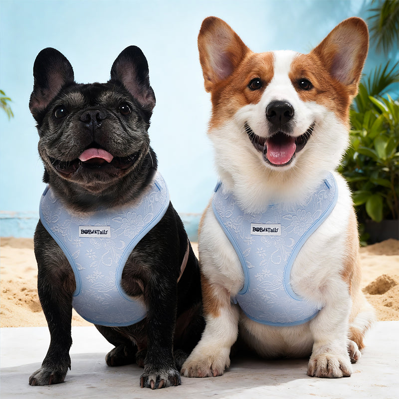 Morning Glory  blue medium and small dog harness  designed as part of a matching dog and owner accessory system for everyday walks