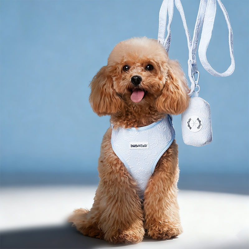 Morning Glory dog leash and harness set designed as part of a matching dog and owner accessory system for everyday walks