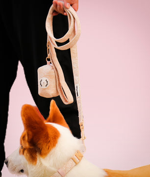 Morning Glory dog leash with poop bag holder matching the harness and owner accessories for daily dog walks