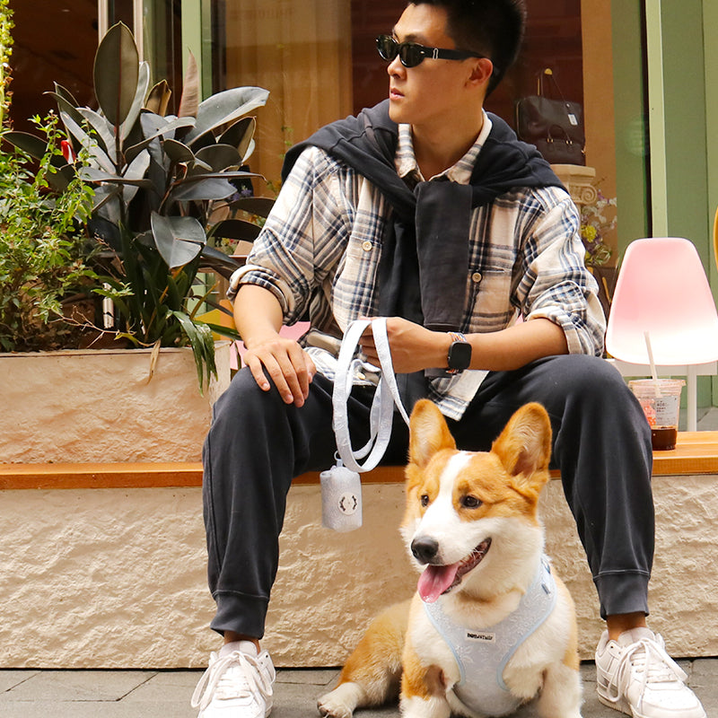 Morning Glory harness and leash set for small dogs  designed to complement the harness and accessories within the set