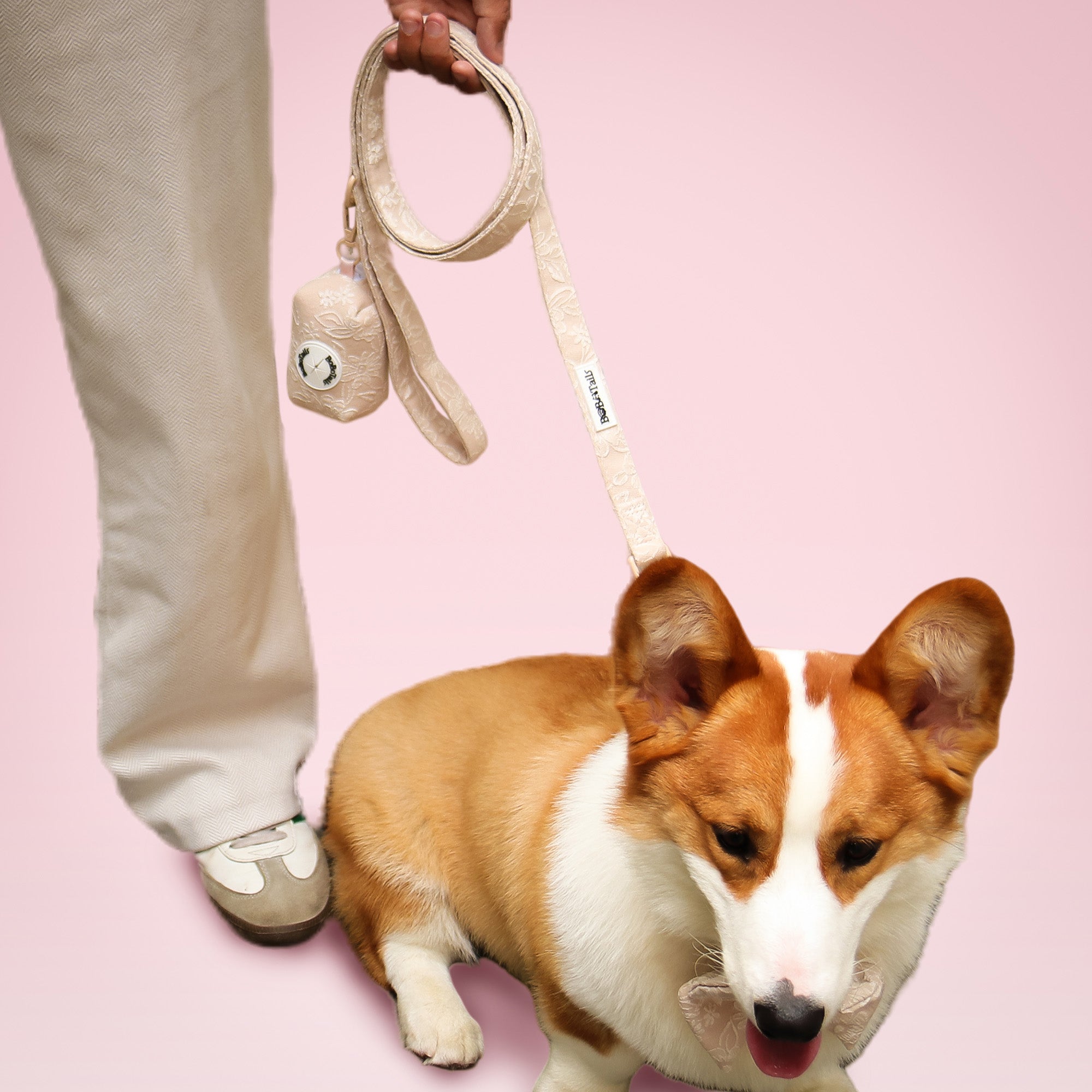 Morning Glory Dog Leash
