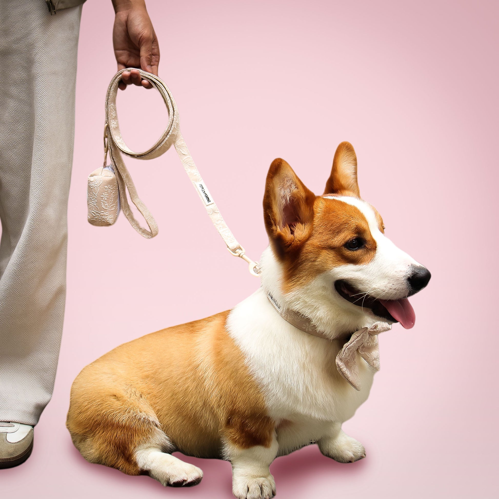 モーニンググローリー 調節可能な犬用リード