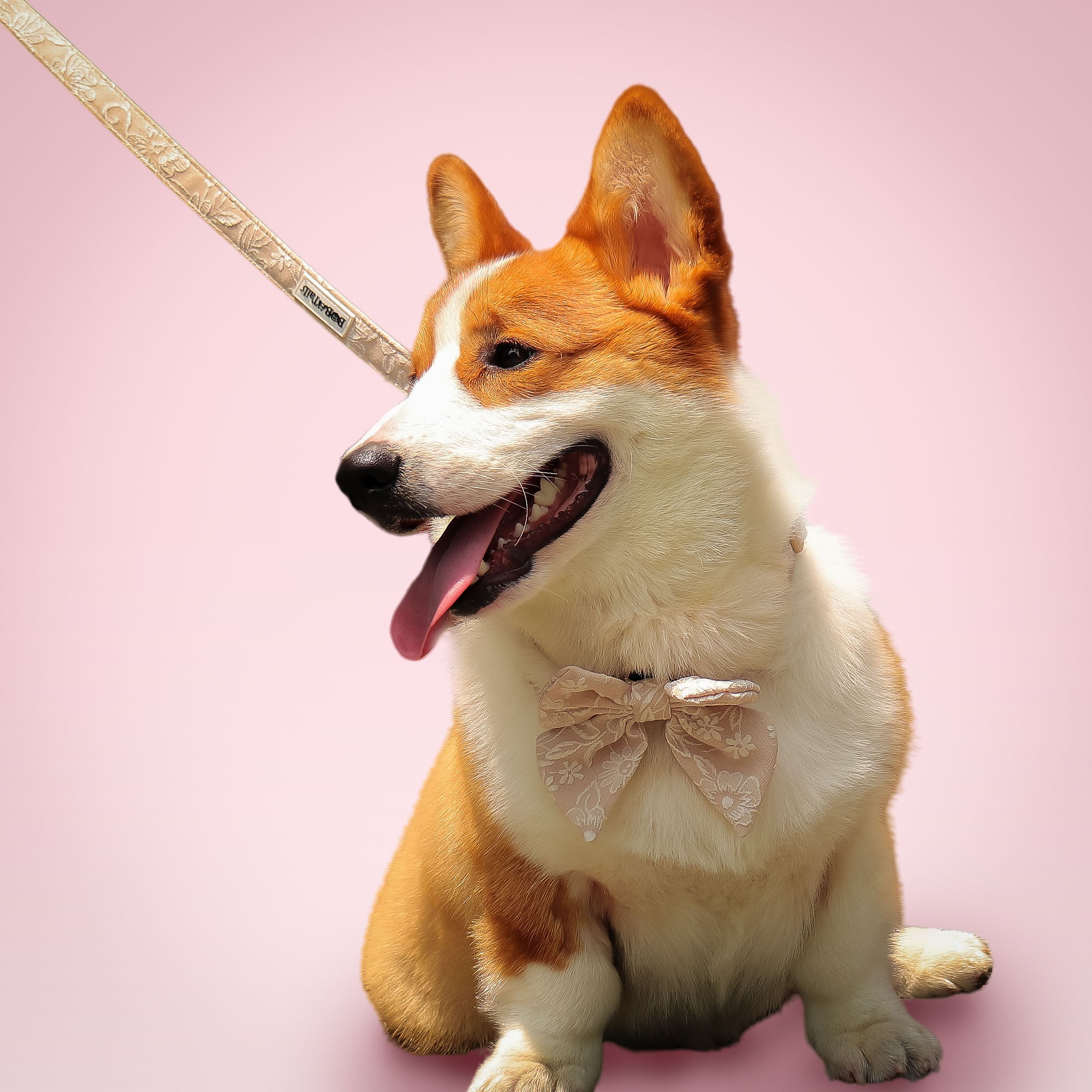 Morning Glory Dog Leash