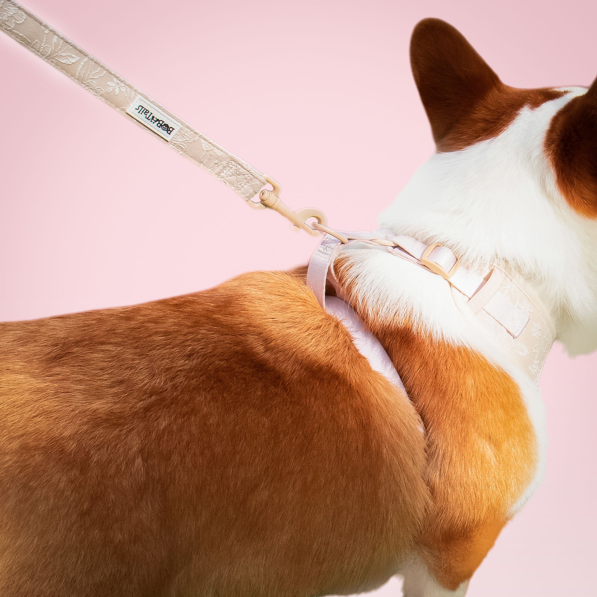 Morning Glory Dog Leash