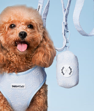 Morning Glory pet waste bags holder matching the Morning Glory harness and owner accessories for daily dog walks