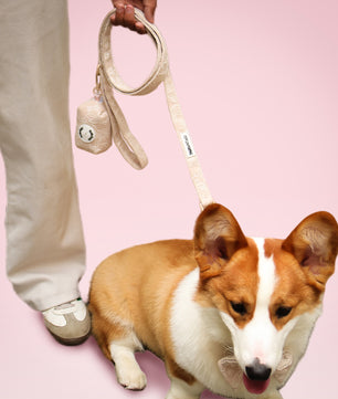 Morning Glory poop bag dispenser for leash matching the morning glory harness and owner accessories for daily dog walks