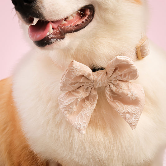 Morning glory biscuit bow tie dogs designed to complement the harness and accessories within the set