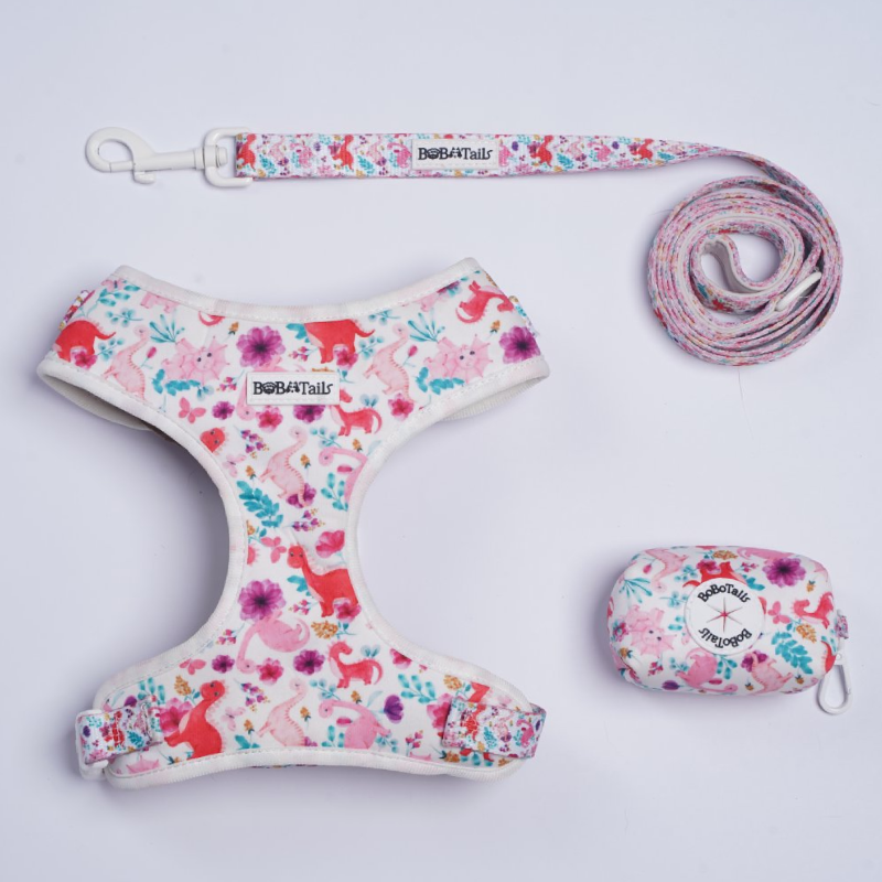 Dinosaur Printed Harness, Leash and Poop Bag Holder Bundle