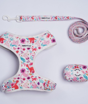 Dinosaur Printed 3-Piece Set – Fun Harness, Leash & Poop Bag Holder