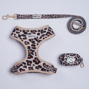 Ensemble harnais, laisse et porte-sacs à déjections canines imprimé léopard