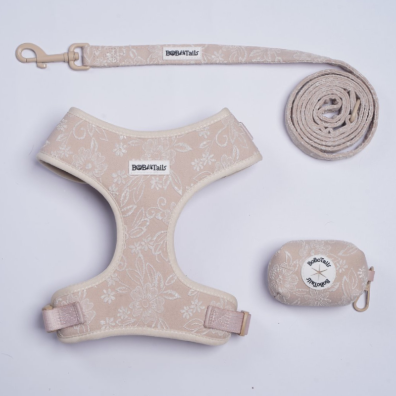 Morning Glory Harness, Leash and Poop Bag Holder Bundle