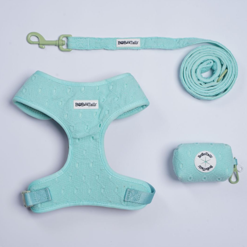 Silk Embroidery Harness, Leash and Poop Bag Holder Bundle