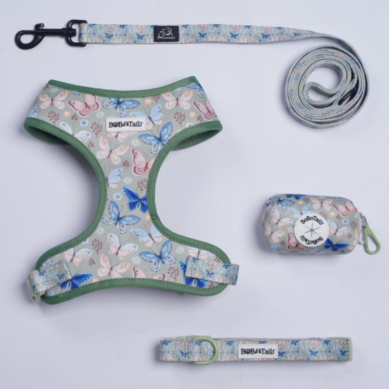 Butterfly Printed Harness, Leash, Collar and Poop Bag Holder Bundle