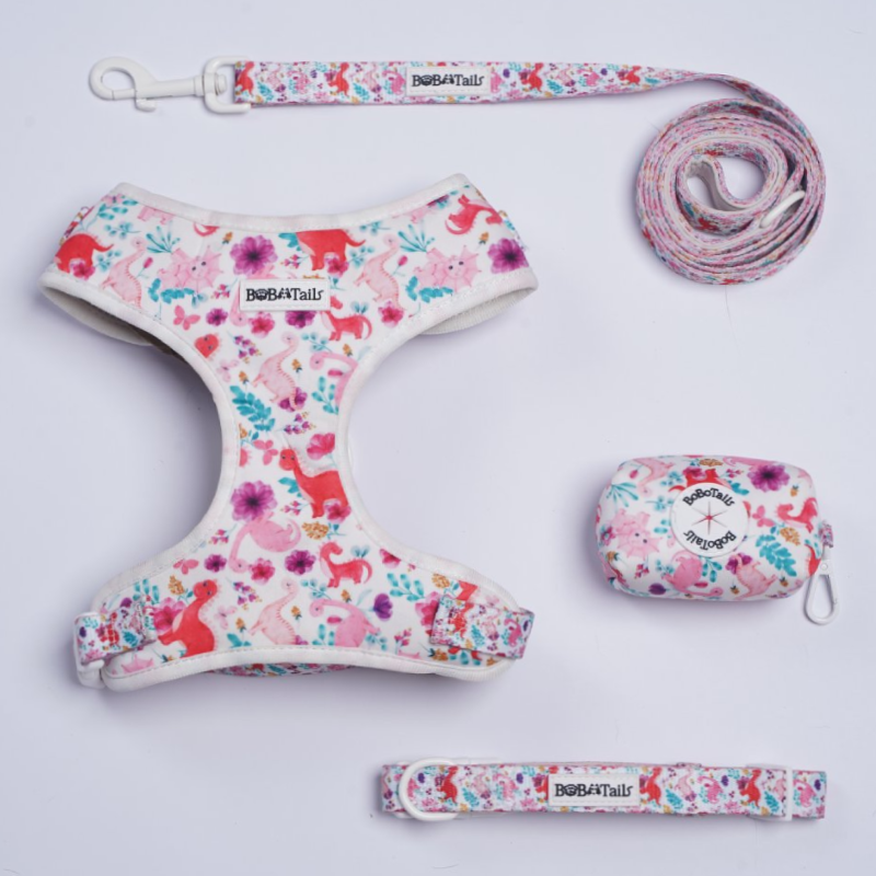 Dinosaur Printed Harness, Leash, Collar and Poop Bag Holder Bundle