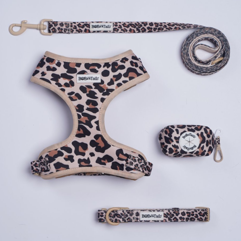 Flower Printed Harness, Leash, Collar and Poop Bag Holder Bundle