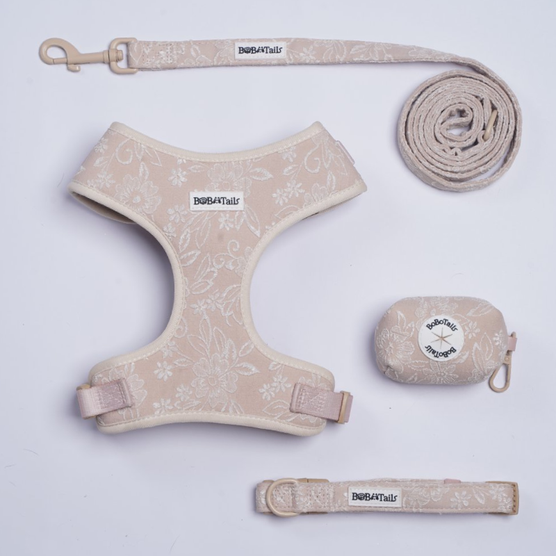Morning Glory Harness, Leash, Collar and Poop Bag Holder Bundle