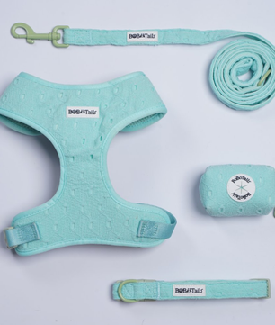 Silk Embroidery 4-Piece Dog Harness Bundle