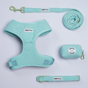 Silk Embroidery Harness, Leash, Collar and Poop Bag Holder Bundle