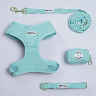 Silk Embroidery 4-Piece 4-Piece Dog Harness Bundle