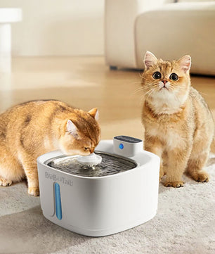 Pet drinking fountain for cats with LED light and silent pump
