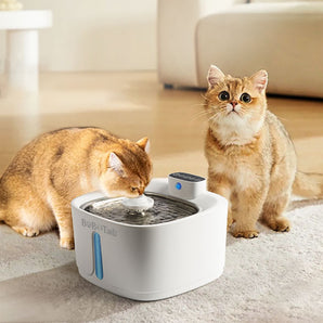 Pet drinking fountain for cats with LED light and silent pump