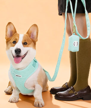 silk embrodiery dog harness and leash set by Bobotails
