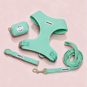 Silk Embroidery 4-Piece Dog Harness Bundle