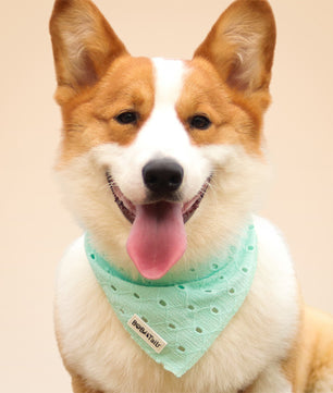 ニット犬用バンダナ