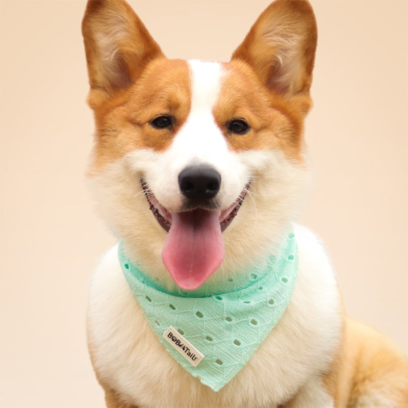 ニット犬用バンダナ