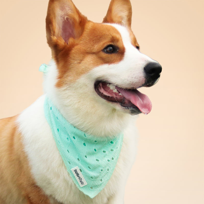 Silk Embroidery Dog Bandana