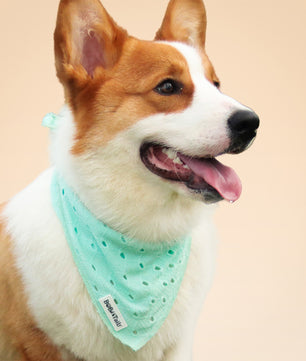 ニット犬用バンダナ