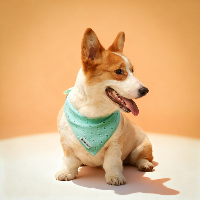 Silk Embroidery Dog Bandana