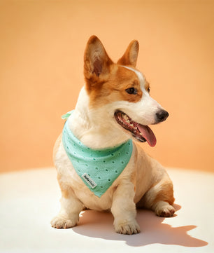 ニット犬用バンダナ