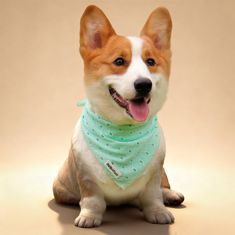 Silk Embroidery Dog Bandana
