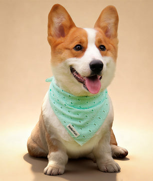 ニット犬用バンダナ