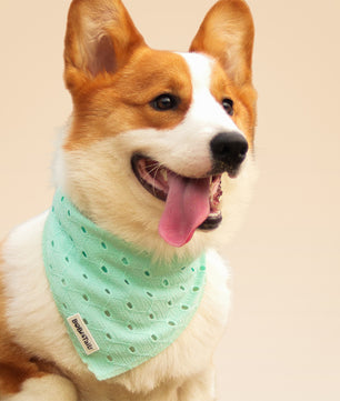 ニット犬用バンダナ