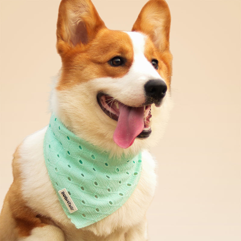 ニット犬用バンダナ