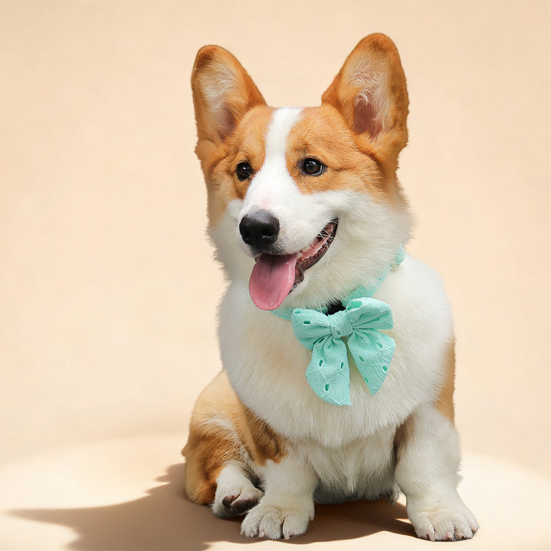 Silk Embroidery Dog Bow Tie