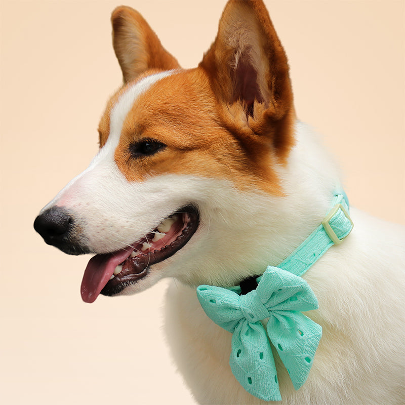 Silk Embroidery Dog Bow Tie