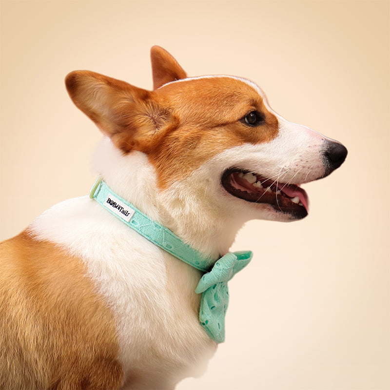 Silk Embroidery Dog Bow Tie