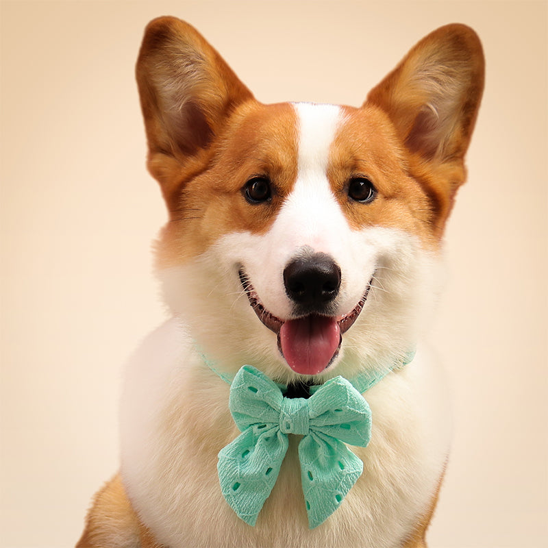 Silk Embroidery Dog Bow Tie