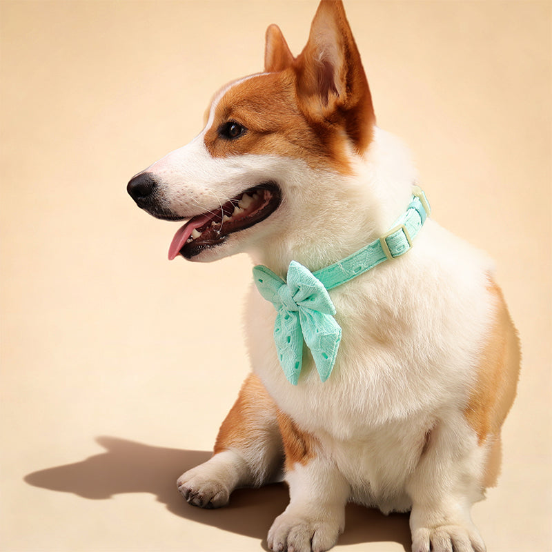 Silk Embroidery Dog Bow Tie